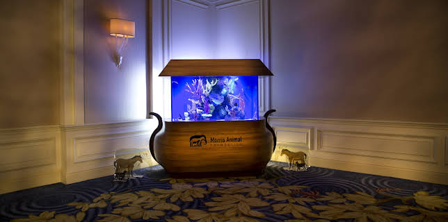 20:00: Tanked (S3 E18) (S3) | Animal Planet | 2/8 2026