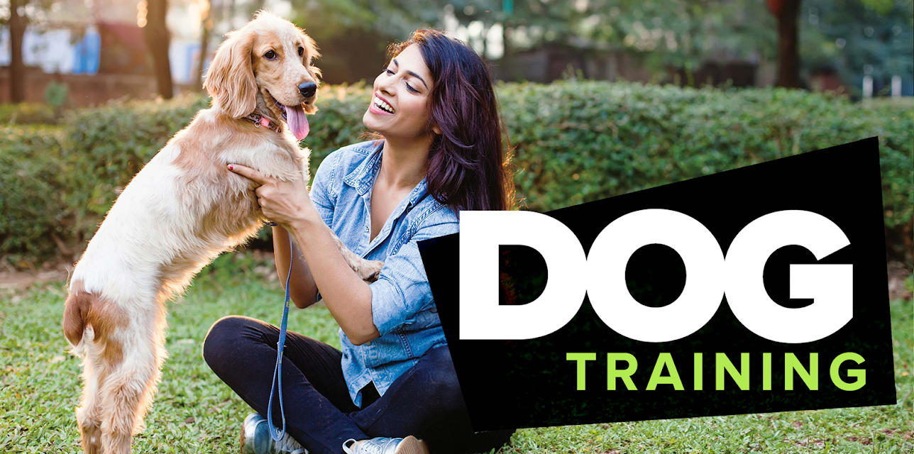 Dog Training 101
