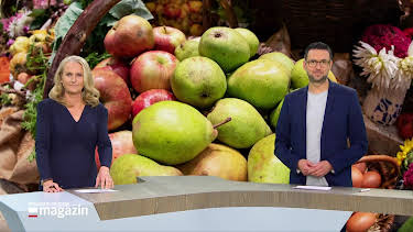10:00: Schleswig-Holstein Magazin | NDR Fernsehen | 10/5 2026