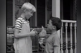 Dennis The Menace, Season Three: Calling All Bird Lovers