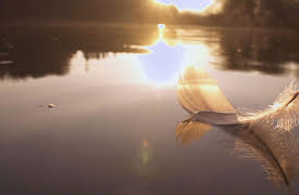 World of the Wild: Freshwaters