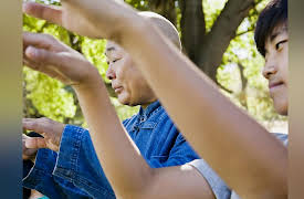 Essentials of Tai Chi and Qigong: First Steps in a Journey