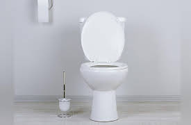 Understanding the Inventions That Changed the World: Water and Sewer Systems