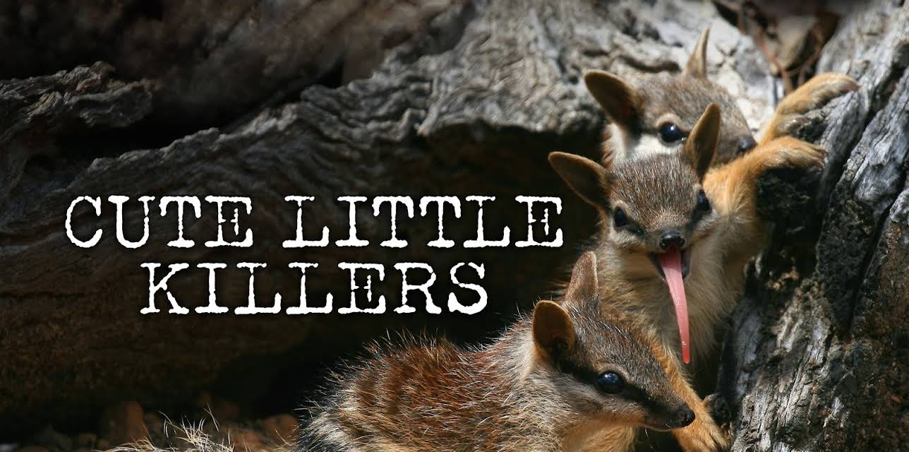 Cute Little Killers (2025)