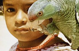 The Thirties in Colour: Adventures in the Americas