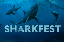 Sharkfest Season 3: Shark Vs. Tuna