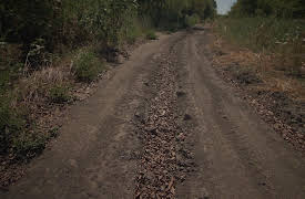 Killer Stories Season 1: Poynter