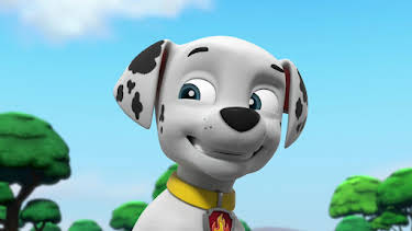 8:50 AM: PAW Patrol (S8 E34) (S8) | Channel 5 | 8/8 2026