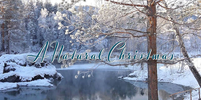 A Natural Christmas (2024)