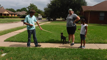 15:00: Pit Bulls & Parolees (S8 E8) (S8) | Animal Planet | 5/9 2026