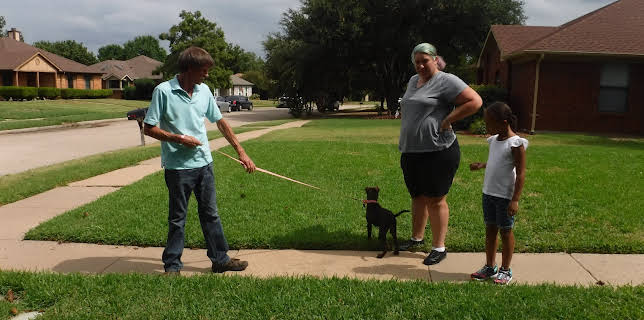 15:00: Pit Bulls & Parolees (S8 E8) (S8) | Animal Planet | 1/3 2026