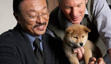 Hachiko: A Dog's Story