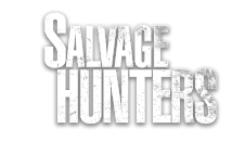 Skjulte skatter (S20 E1)