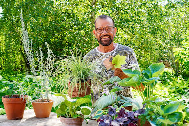 15:05: Natur im Garten (2/10) | 3SAT | 9/19 2026