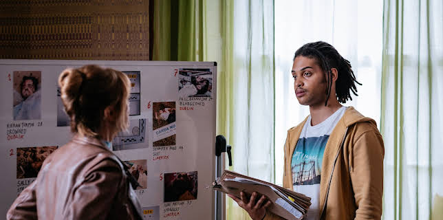 Harry Wild - Mörderjagd in Dublin