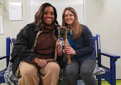 For the Love of Dogs