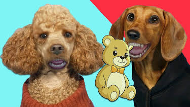 09:30: Hundebarnehagen: Elsa sitt kosedyr | NRK Super | 4/27 2026