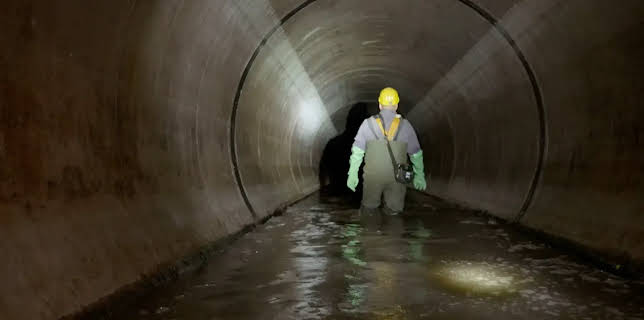 14:00: Die Nordreportage | NDR Fernsehen | 1/2 2026