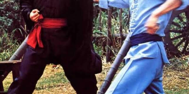 Tiger's Kung Fu (1977)