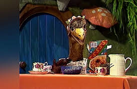 Bingo & Molly: A Turn for the Better