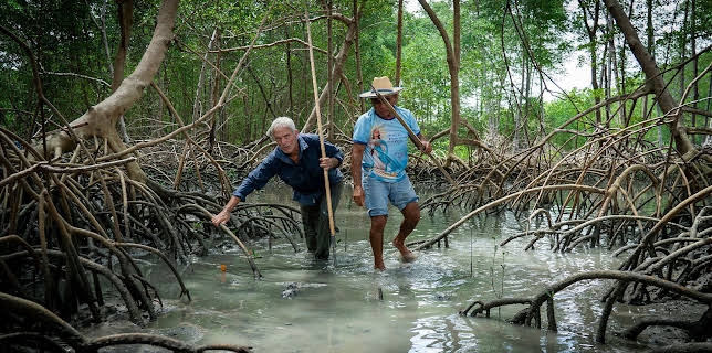 16:30: In unbekannten Gewässern mit Jeremy Wade | Kabel Eins Doku | 12/18 2025
