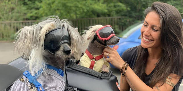 4:30 AM: The Travel Show | BBC News | 12/13 2025