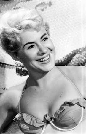 Dilys Laye as 