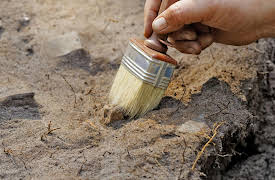 Myths, Lies, and Half-Truths of Language Usage: A Procession of Accidents and Fossils