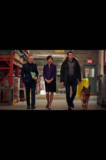 09:42: Hudson y Rex (T1): Ep.11 El aumento del agua contaminada | AXN | 4/3 2026