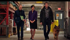 Hudson y Rex (T1): Ep.11 El aumento del agua contaminada