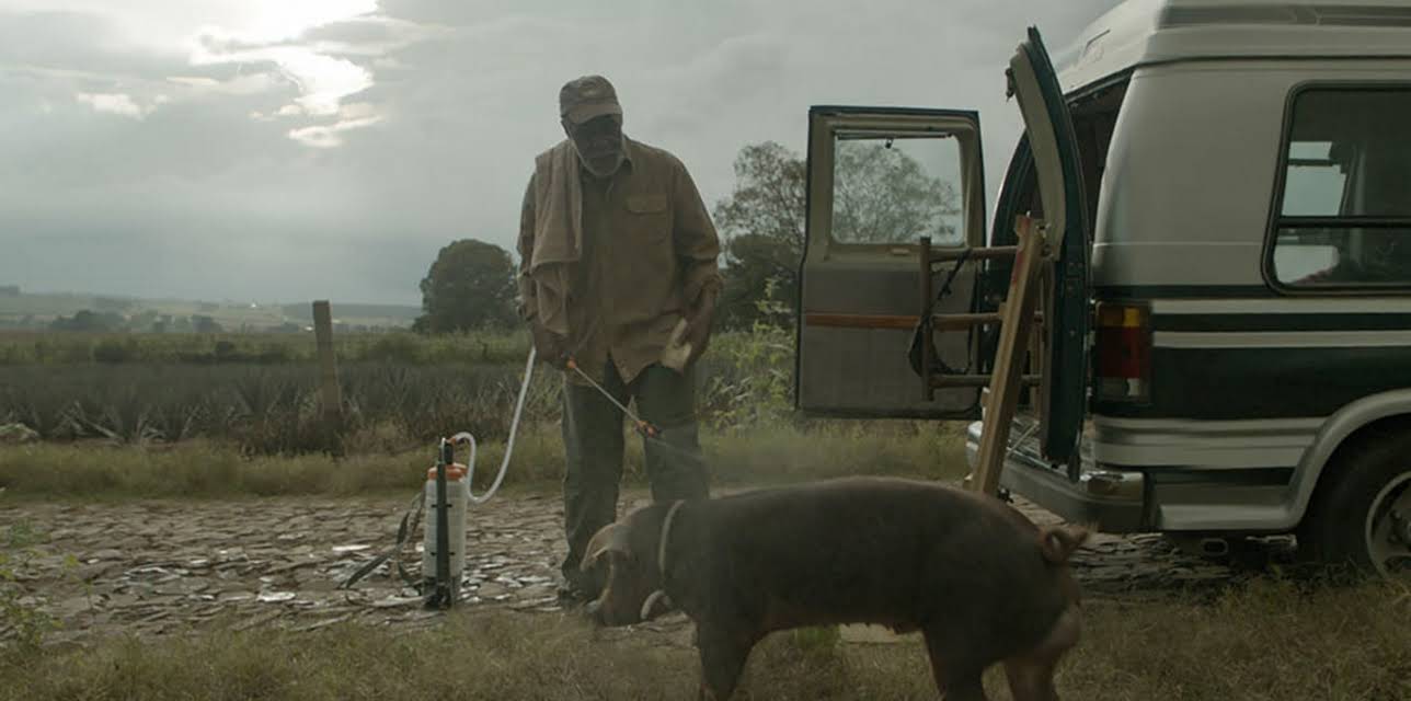 Mr. Pig (2016)