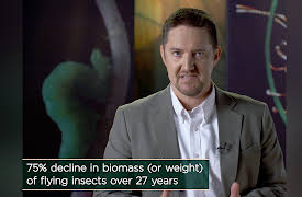 Why Insects Matter: Earth’s Most Essential Species: The Disappearing Insects