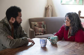 Wyatt Cenac's Problem Areas: Research Problems, Reef Problems, Punitive Problems