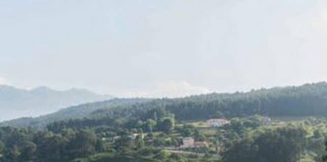 11:15: De la mar | TPA | 3/1 2026