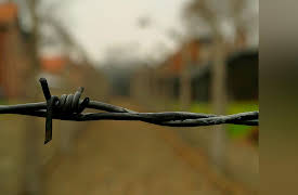 The Industrial Revolution: Why Europe Started Late