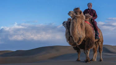 8:00 PM: My Epic Camel Adventure with Gordon Buchanan | BBC Two | 6/28 2026