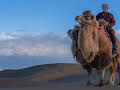 My Epic Camel Adventure with Gordon Buchanan