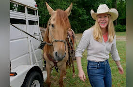 Travels with Darley: South Carolina: Revolutionary Road Trip - Part 2