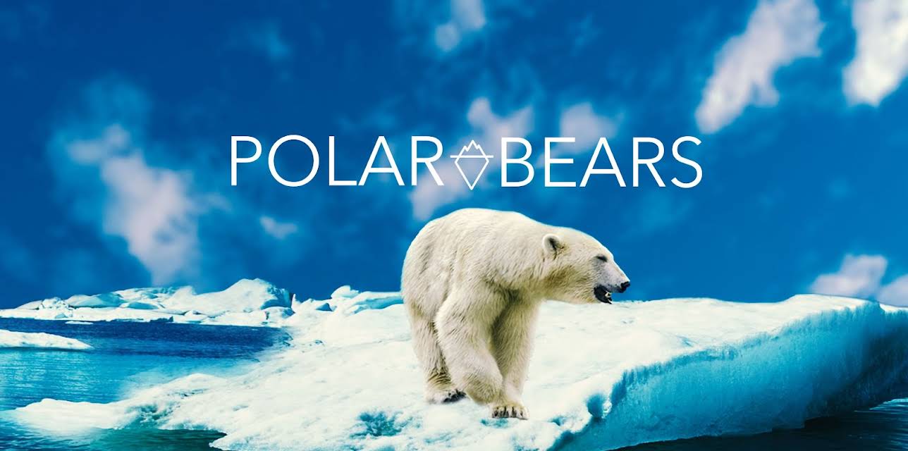 Polar Bears (2020)