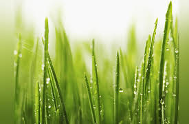 Meteorology: An Introduction to the Wonders of the Weather: Bringing Air to Saturation