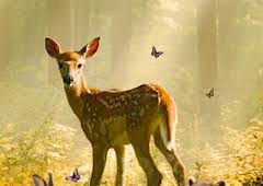 Bambi, una vida en el bosque