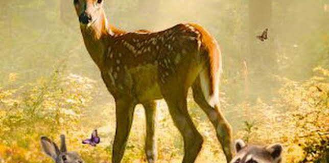 12:25: Bambi, una vida en el bosque | M. Drama | 1/5 2026