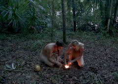 Naked And Afraid: Alone