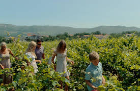 Adventure In Wonder: Spears to Stars