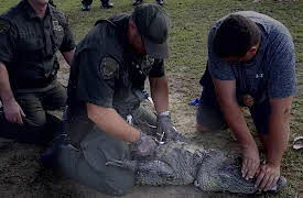 Caught!, Season 1: Florida Man