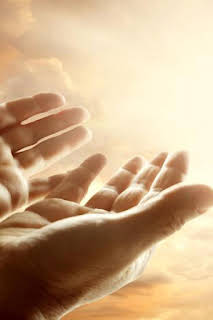 08:46: Regreso a Ítaca | 8 tv | 3/28 2026