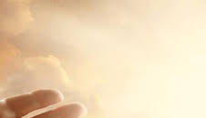 Coraje en el Combate