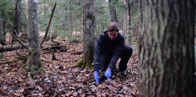 20:00: Dead North (S1 E1) (S1) | Investigation Discovery | 12/7 2025