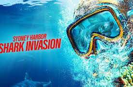 Sydney Harbor Shark Invasion: Sydney Harbor Shark Invasion