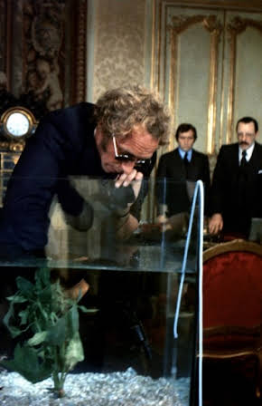 Michel Duchaussoy as 
